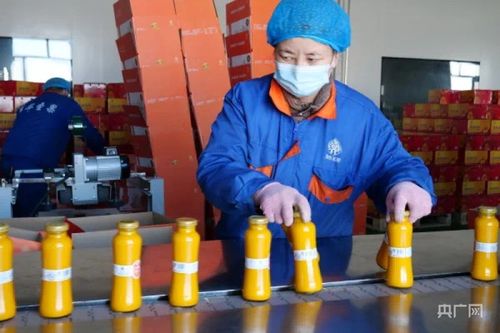 冬博會開幕在即 青河縣各參展企業已準備就緒